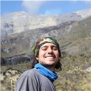 Maestro en artes artes visuales Énfasis plástico